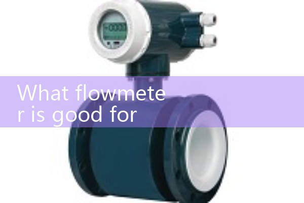 Delta flowmeter manufacturer